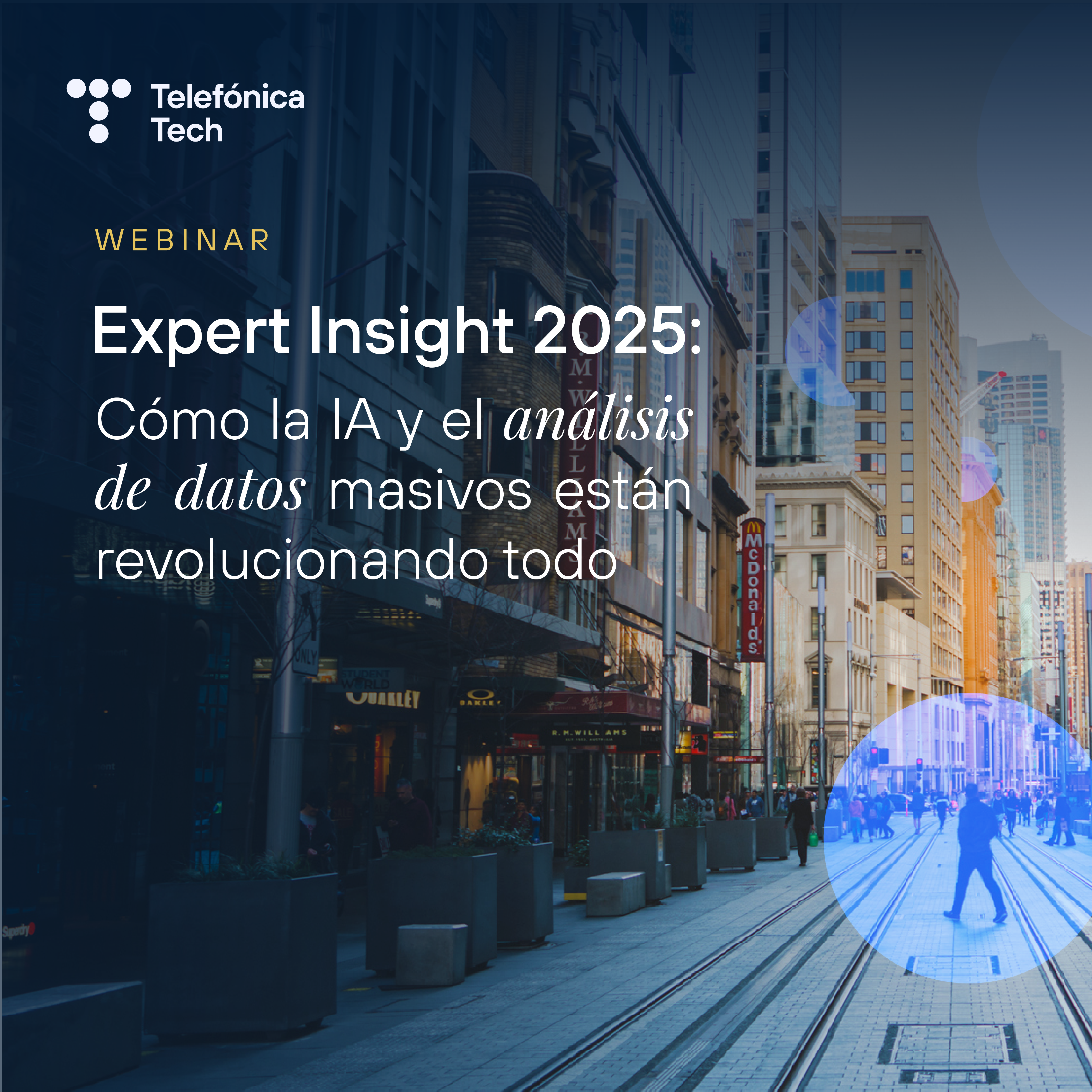 webinar expert